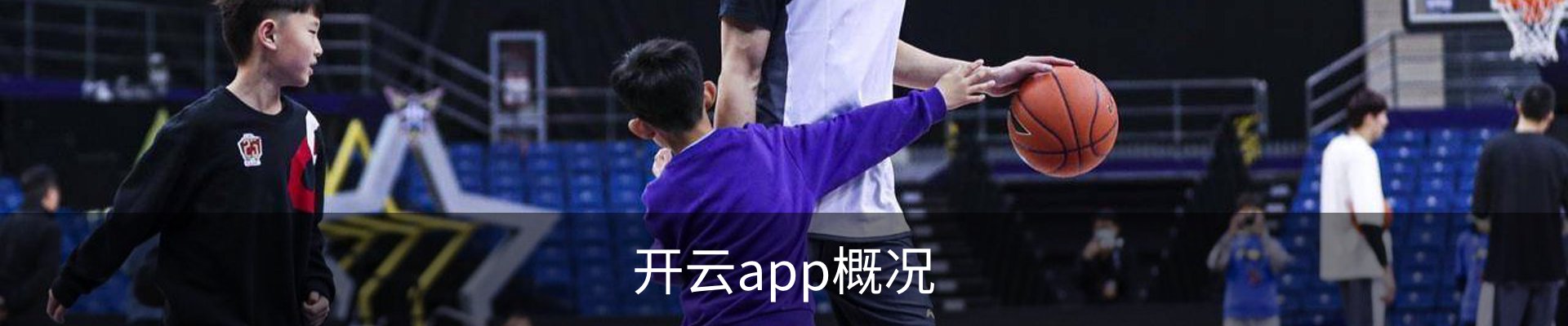 开云app概况