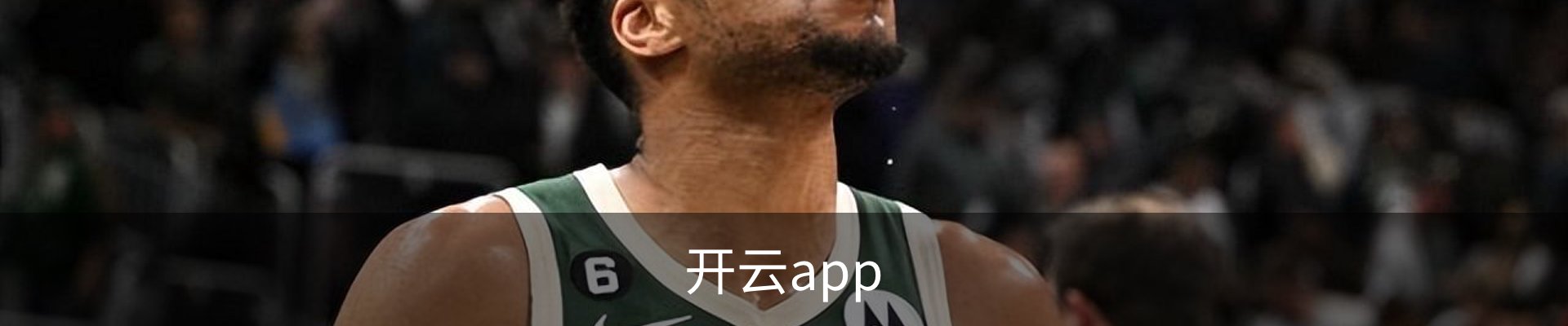 开云app